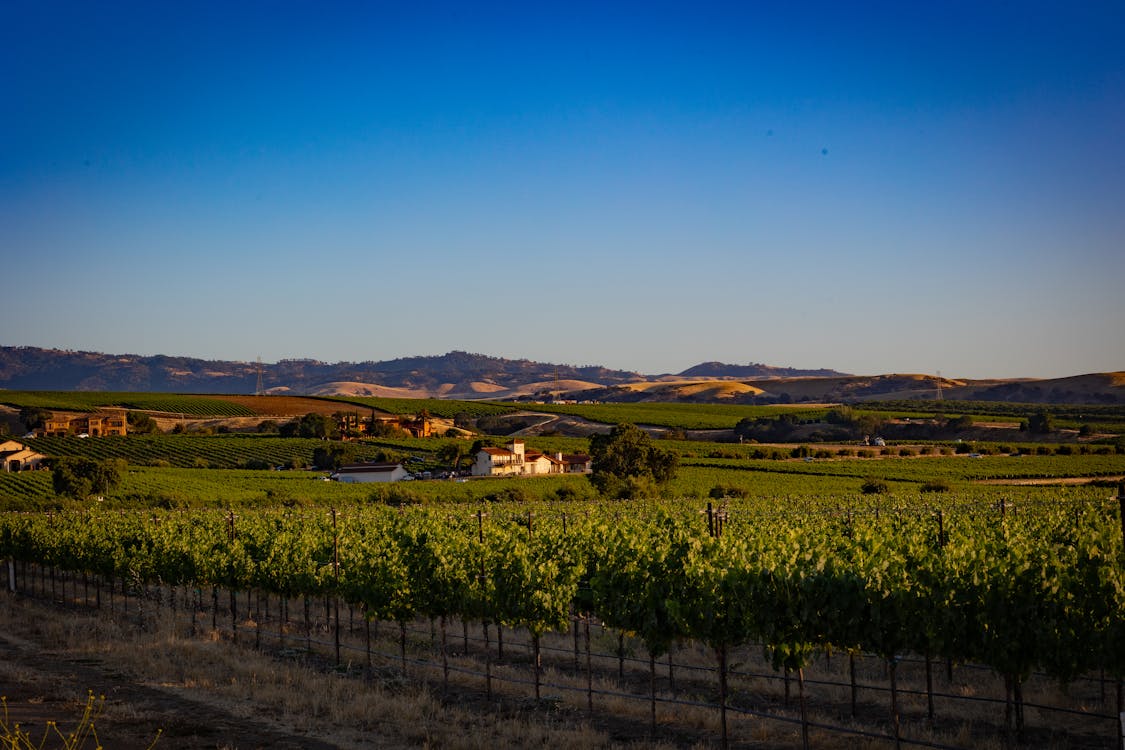 How to Sell Missouri Land in a Trust?